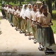 Projekt Green Olive High School mit neuem Videoclip online